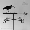 Curlew weathervane with traditional arrow.