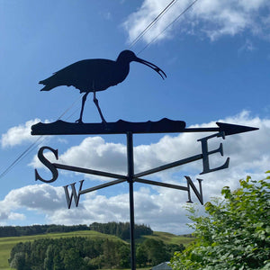 Curlew weathervane photographed in the Scottish Borders countryside.