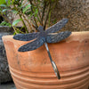 The Dragonfly plant pot hanger by Black Fox Metalcraft Ltd hooks onto a terracotta pot rim, adding charm among green plants and making a delightful gift for gardeners.