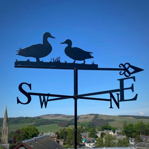 Weathervane featuring two Ducks, photographed on a glorious sunny day in Selkirk.