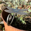 The Metal Dragonfly Ornament by Black Fox Metalcraft Ltd features hand-forged, textured wings on a curled metal stake—perfect for adding a steel dragonfly accent to plant pots and an ideal gift for gardener friends.