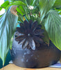 The Flower Plant Pot Hanger by Black Fox Metalcraft Ltd decorates a black plant pot with lush green plants, displayed on a wooden surface.
