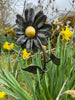 The Forged Metal Flower by Black Fox Metalcraft Ltd, a black metal sculpture with a gold center, stands among green leaves and yellow daffodils in an outdoor garden.