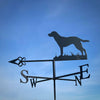 The Labrador Weathervane from Black Fox Metalcraft Ltd features a Labrador silhouette with "S," "W," and "E" directional letters. It stands against a blue sky, demonstrating its rust-resistant durability for lasting appeal.