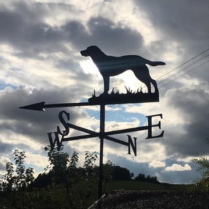 Labrador weathervane