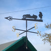 Mr toad and car weathervane