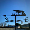 Pointer dog weather vane - great gift for a Pointer owner. Photographed with winter sky backdrop.