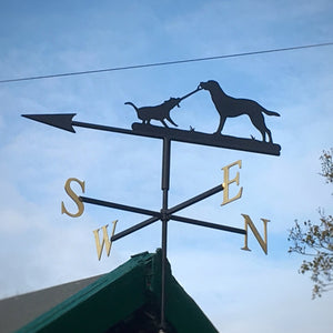 Dogs playing weathervane