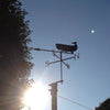 Whale weathervane with a rising moon background