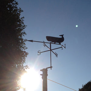 Whale weathervane with a rising moon background